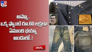 ఇది గిన్నెలు కడిగే స్క్రబ్బర్ అనుకుంటే పొరపాటే.. అదేంటో మీరే చూడండి