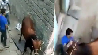 మొబైల్‌ఫోన్‌ దొంగిలించాడని 12 బాలుడిని బావిలో వేలాడదీసి.. కర్కశంగా..