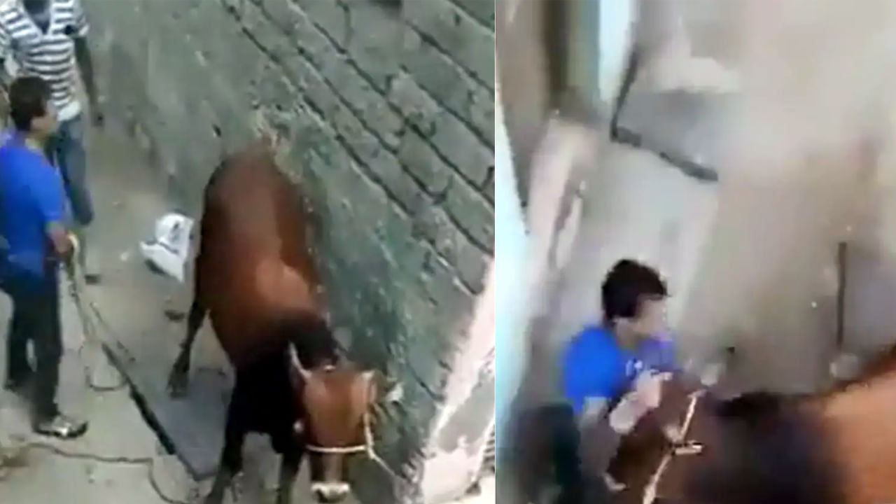 Funny Video: కర్మ ఫలం అంటే ఇదే బాస్.. తన్నాడు.. తిరిగి తన్నించుకున్నాడు..