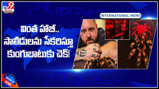 Tiger Video: చనువు ఇచ్చిందిగా అని పులితో సెల్ఫీ దిగాలని చూస్తే..! ఆ తర్వాత ఏమైందంటే..!వీడియో..