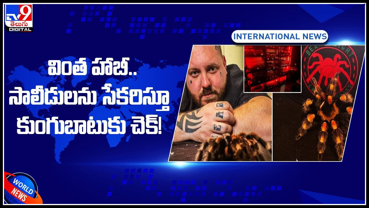 Spiderman: వింత హాబీ.. సాలీడులను సేకరిస్తూ కుంగుబాటుకు చెక్.! మానసిక ఆరోగ్యం కోసమే ఇలా చేస్తున్నాడు అంట.! Spiderman: వింత హాబీ.. సాలీడులను సేకరిస్తూ కుంగుబాటుకు చెక్.! మానసిక ఆరోగ్యం కోసమే ఇలా చేస్తున్నాడు అంట.!