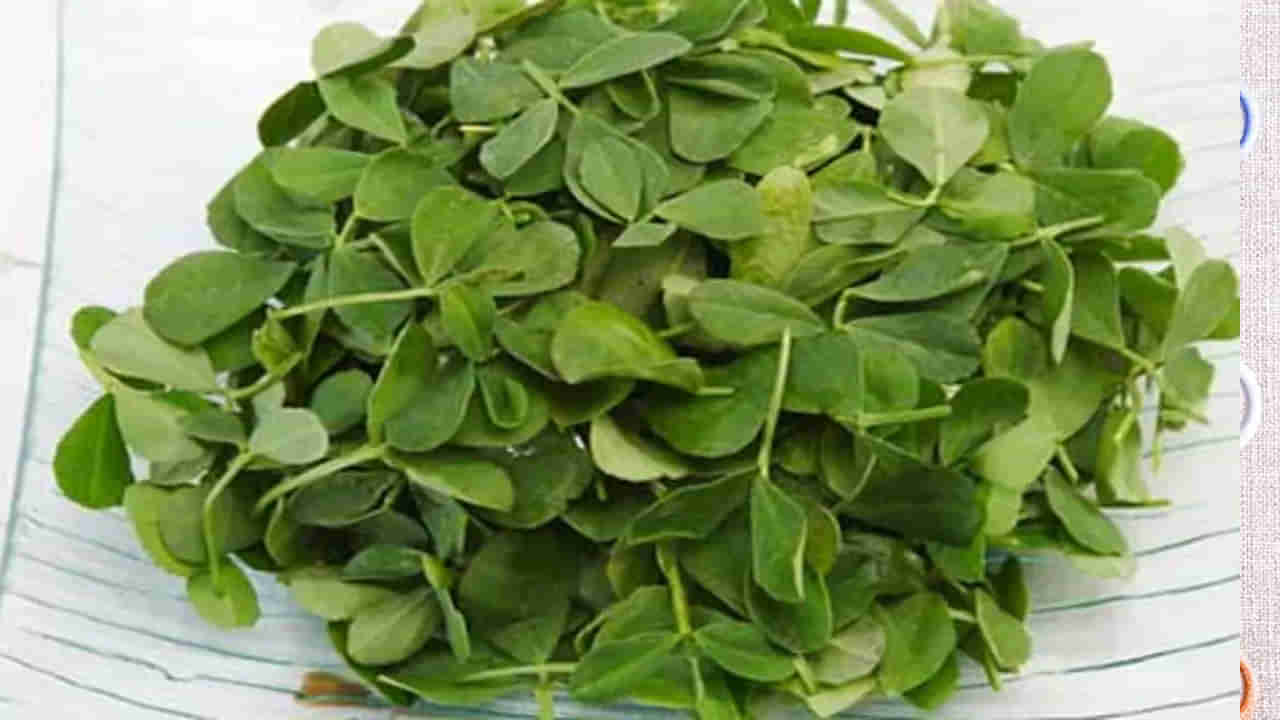 Methi Leaves Benefits: మెంతికూరతో ఎన్నో ఆరోగ్య ప్రయోజనాలు.. ఆహారంలో ఇలా చేర్చుకోండి..