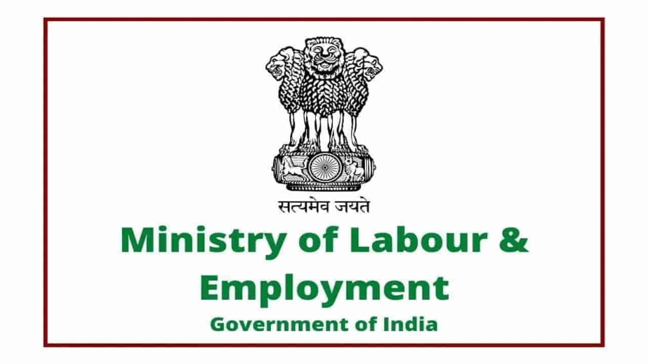 Central Govt Jobs: డిగ్రీ అర్హతతో కేంద్ర కార్మిక, ఉపాధి మంత్రిత్వ శాఖలో ఉద్యోగాలు.. ఇలా దరఖాస్తు చేసుకోండి..