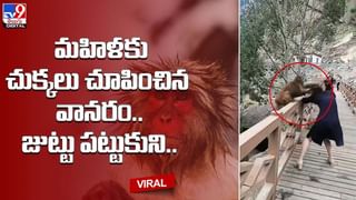 ష్.. నేనూ ఇక్కడే పడుకుంటా.. డిస్టర్బ్ చెయ్యొద్దు..