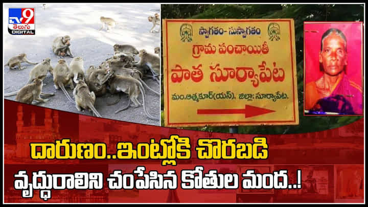 Monkeys Attack: దారుణం.. ఇంట్లోకి చొరబడి వృద్ధురాలిపై కోతుల మూక దాడి..! ఎవరో చేయించినట్టు..(వీడియో) Monkeys Attack: దారుణం.. ఇంట్లోకి చొరబడి వృద్ధురాలిపై కోతుల మూక దాడి..! ఎవరో చేయించినట్టు..(వీడియో)