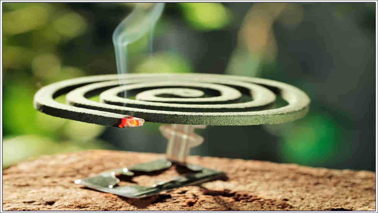 Mosquito Coil Side Effects: మీ ఇంట్లో మస్కిటో కాయిల్స్‌ వాడుతున్నారా..? పిల్లల శ్వాసకోశపై ప్రభావం!