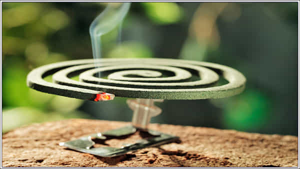 Mosquito Coil Side Effects: మీ ఇంట్లో మస్కిటో కాయిల్స్ వాడుతున్నారా..? పిల్లల శ్వాసకోశపై ప్రభావం!