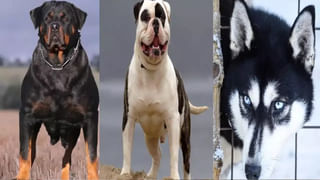 Bathroom Slippers: అరెయ్ ఏంట్రా ఇది.. బాత్రూం చెప్పల ధర రూ 8,990.. అది కూడా 54 శాతం డిస్కౌంట్ తగ్గించాక