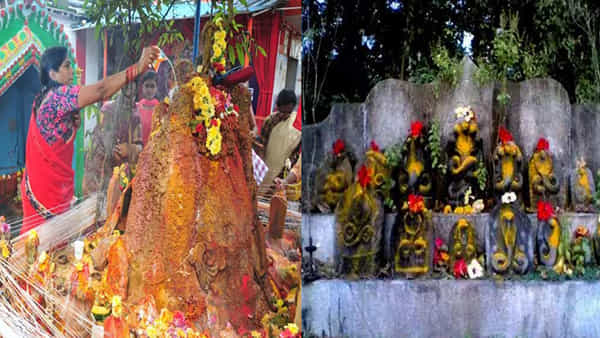 Nagula Chavithi: నాగుల చవితి జరుపుకోవడంలో భిన్న వాదనలు.. నేడా..! రేపా..! పండితులు ఏమి చెబుతున్నారంటే..