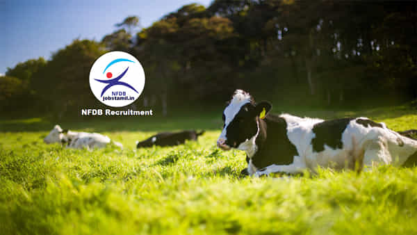 NFDB Hyderabad Recruitment 2022: పాడి పరిశ్రమల మంత్రిత్వాశాఖకు చెందిన హైదరాబాద్-నేషనల్ ఫిషరీస్ డెవలప్మెంట్ బోర్డులో ఉద్యోగాలు..పూర్తి వివరాలివే..