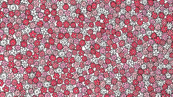 Optical Illusion: రంగురంగుల పూల మధ్యన 5 నక్షత్రాలు.. 30 సెకన్లలో గుర్తిస్తే మీరు తోపే.. లెట్స్ ట్రై
