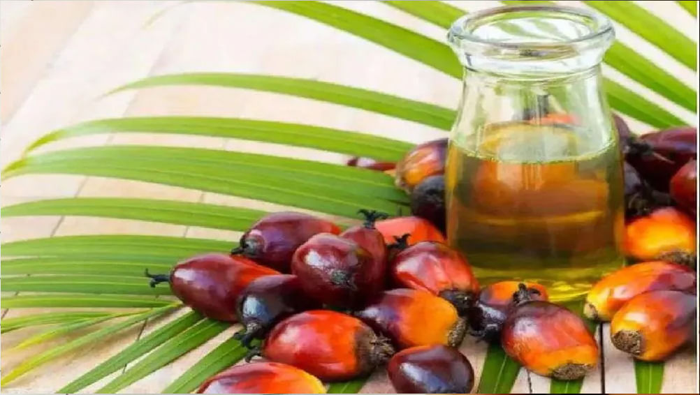 Palm Oil Prices: సామాన్యులకు షాక్‌.. మళ్లీ పెరగనున్న వంట నూనె ధరలు..!