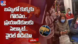 Thief Viral video: వారెవ్వా.. నువ్వు అసలైన దొంగ అంటే.. మందుబాబు దగ్గర సెల్‌ఫోన్‌ కొట్టేసిన కిలాడీ..