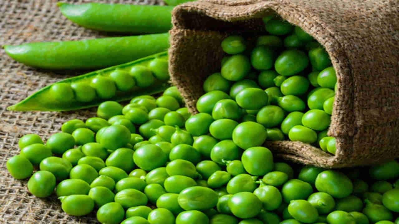 Pea Benefits: పచ్చి బటానీతో పుష్కలమైన ఆరోగ్య ప్రయోజనాలు.. తెలిస్తే అస్సలు విడిచిపెట్టరు..