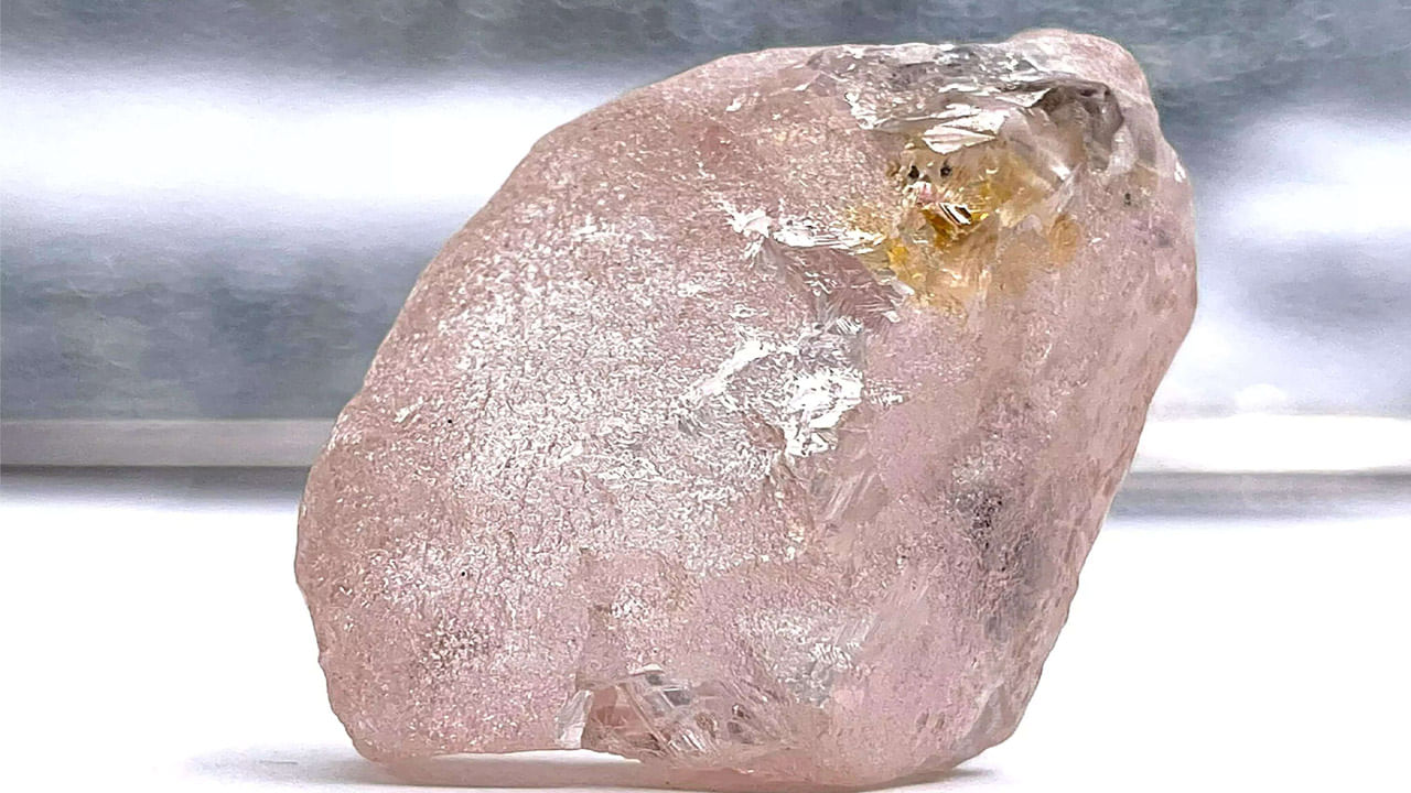 Pink Diamond: వేలానికి సిద్ధమైన పింక్ డైమండ్.. దక్కించుకునేందుకు భారీ పోటీ.. రూ.172 కోట్లు పలుకుతుందని అంచనా..