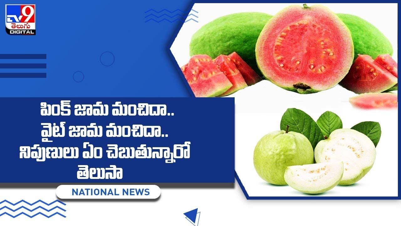 పింక్ జామ మంచిదా.. వైట్ జామ మంచిదా.. నిపుణులు ఏం చెబుతున్నారో తెలుసా