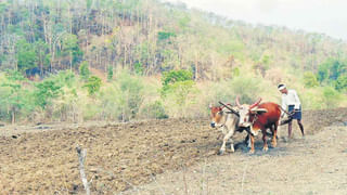 Munugode Bypoll: ‘బీఆర్ఎస్‌’కు పునాది వేసే అవకాశం మునుగోడు ప్రజలదే.. నియోజకవర్గ ప్రజలకు సీఎం కేసీఆర్ విజ్ఞప్తి..