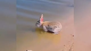 Digital News Round Up: ఫ్యామిలీతో జపాన్‌కు ఎన్టీఆర్‌ | బైక్‌లో దూరిన నాగుపాము.. లైవ్ వీడియో