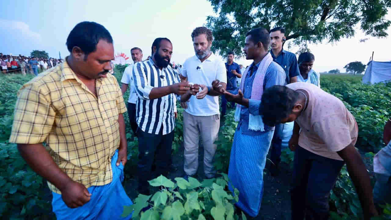 Bharat Jodo Yatra: జోడో యాత్రకు ఏపీలో సూపర్‌ రెస్పాన్స్‌.. రాహుల్‌‌ గాంధీతో కలిసి అడుగులో అడుగేస్తున్న జనాలు..