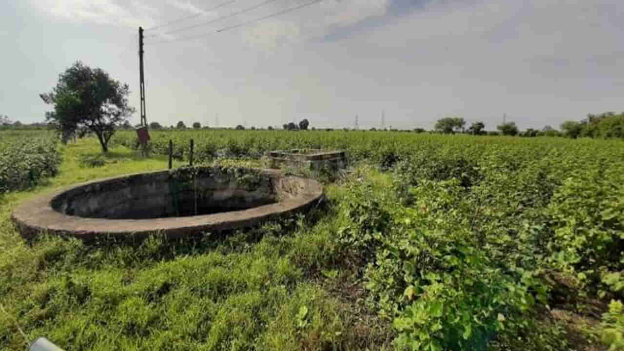 పొలానికి వెళ్లిన రైతుకు కనిపించిన బంగారు వస్తువులు.. ఏంటని వెళ్లి చూడగా.. దెబ్బకు భయంతో పరుగో పరుగు