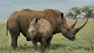 Aadhaar Card Update: ఆధార్‌ కార్డు ఉన్నవాళ్లకు అలర్ట్‌.. కీలక అప్‌డేట్‌.. ఇది తప్పక తెలుసుకోవాల్సిందే