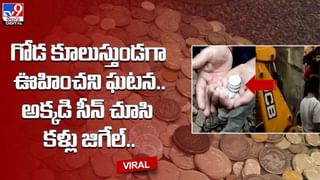 వామ్మో !! ఈ కోతులు 32 ఎకరాల ఆసాములు !!