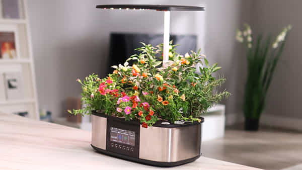 Smart planter: మొక్కలు నాటే కుండీలు కూడా స్మార్ట్గా మారిపోయాయ్.. వామ్మో ఎన్ని ఫీచర్లో..