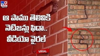 గొప్ప మనసున్న డాక్టరమ్మ.. తాను చదివిన కాలేజీకి రూ.20కోట్ల విరాళం !!