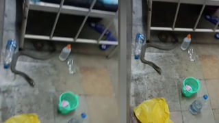 Telangana Congress: షోకాజ్ నోటీసులపై కోమటిరెడ్డి స్పందిస్తారా? లైట్ తీసుకుంటారా?