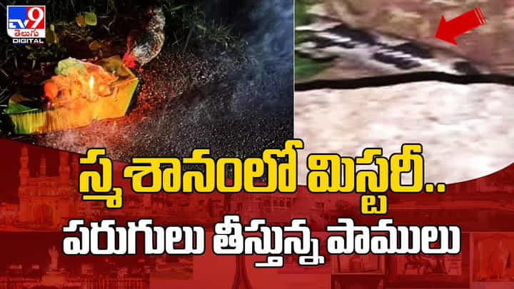శ్మశానంలో మిస్టరీ.. పరుగులు తీస్తున్న పాములు (Video) శ్మశానంలో మిస్టరీ.. పరుగులు తీస్తున్న పాములు (Video)