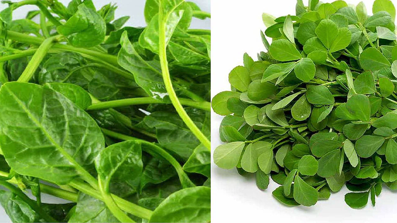 Health Tips మెంతుకూర, బచ్చలి కూరలో ఏది ఆరోగ్యకరమైనది.. ఎక్కువ మేలు