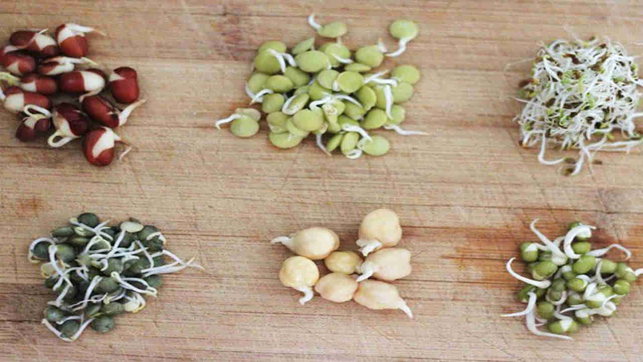 Sprouts Side Effects: ఈ సమస్య ఉన్నవారు ఖచ్చితంగా మొలకలను తినకూడదు.. జాగ్రత్త..!