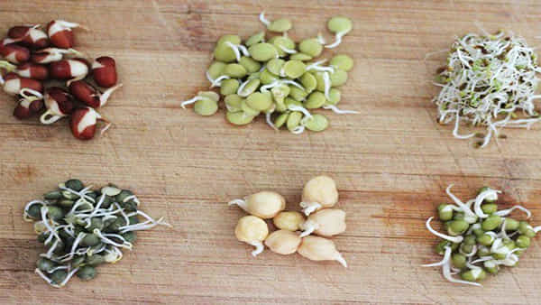 Sprouts Side Effects: ఈ సమస్య ఉన్నవారు ఖచ్చితంగా మొలకలను తినకూడదు.. జాగ్రత్త..!