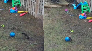 కొత్తకారుతో గ్రాండ్‌ ఎంట్రీ ఇద్దామనుకుంటే.. ఇలాజరిగిందేంటి సామీ..