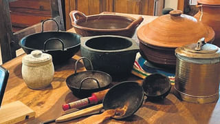 Benefits of Ashwagandha: మీలో ఆ సామర్థ్యం తగ్గిందా? అశ్వగంధతో ఇలా చేస్తే అద్భుత ప్రయోజనాలు..