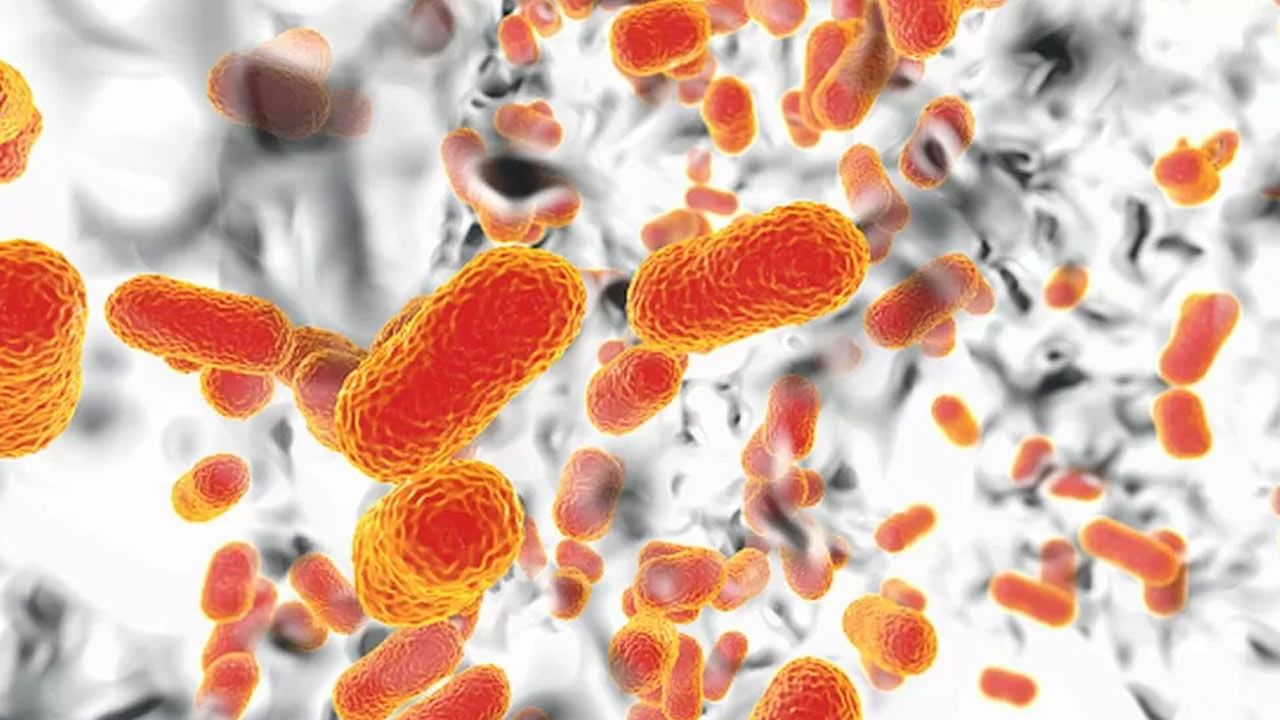 Superbug: దేశంలో కరోనాను మించిన కొత్త మహమ్మారి.. తల పట్టుకుంటున్న డాక్టర్స్..