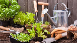 Munugode By Poll: వెంకటరెడ్డి ఆడియో లీక్ పై స్పందించిన రాజగోపాల్ రెడ్డి.. ఆ ఎమ్మెల్యేలు కూడా తన గెలుపు కోరుకుంటున్నారని సంచలన వ్యాఖ్యలు..