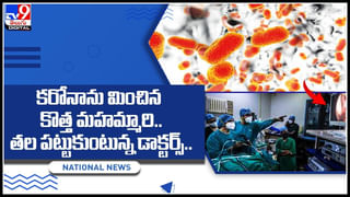 Healthy Liver: ఈ పదార్థాలను రోజూ తీసుకుంటే లివర్ ఆరోగ్యం పదిలం.. 5 సూపర్ ఫుడ్స్ ఇవే..