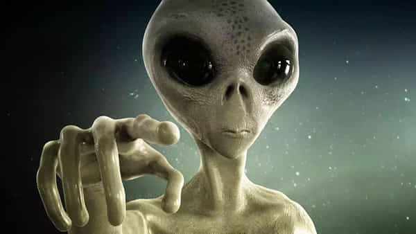 Time Travel: ఈ ఏడాది డిసెంబర్ 8న ఏం జరగబోతోంది? భూమిపైకి ఏలియన్స్ వచ్చే సమయం ఆసన్నమైందా..