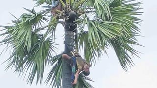 Telangana: ఇంతకంటే బాధాకరం మరొకటి లేదు.. పుట్టిన రోజే ఆ చిన్నారి లాస్ట్ రోజు..