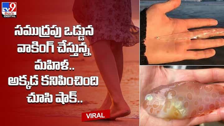 సముద్రపు ఒడ్డున వాకింగ్ చేస్తున్న మహిళ.. అక్కడ కనిపించింది చూసి షాక్ !! సముద్రపు ఒడ్డున వాకింగ్ చేస్తున్న మహిళ.. అక్కడ కనిపించింది చూసి షాక్ !!