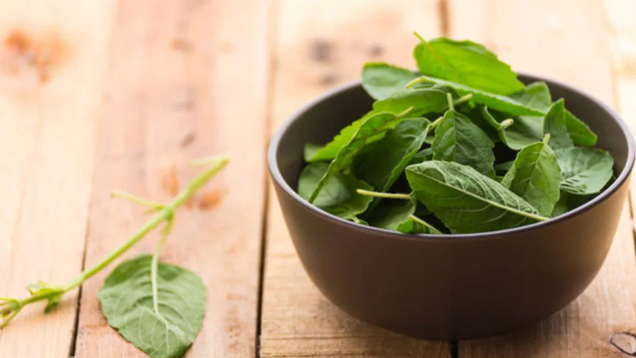 Basil Benefits