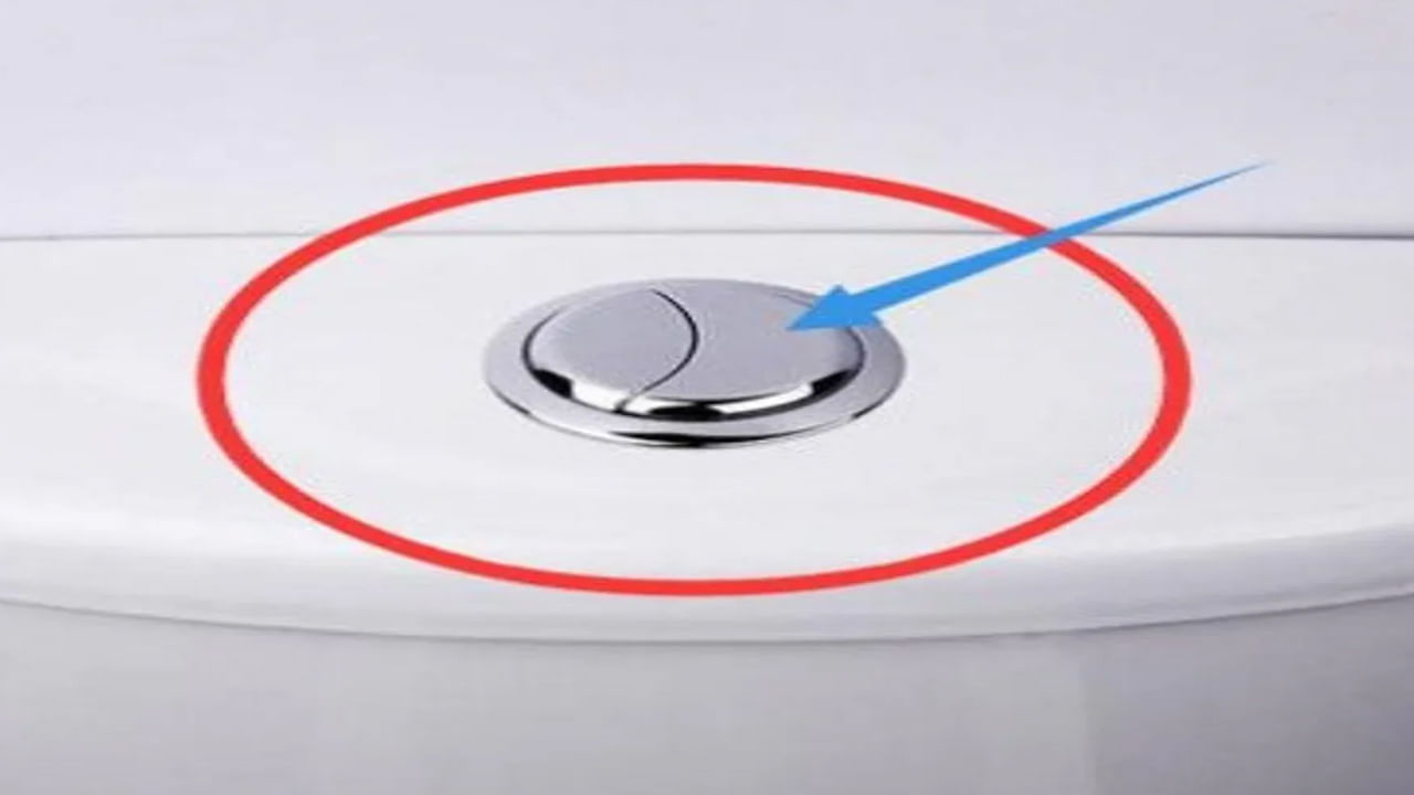 Flush Flush Button Fact టాయిలెట్ ఫ్లష్‌లో చిన్న, పెద్ద బటన్‌లను