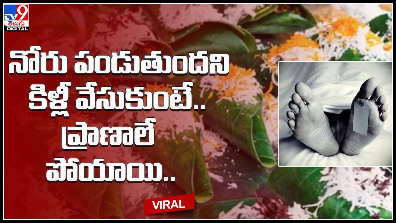 Betel Leaf: నోరు పండుతుందని కిళ్లీ వేసుకుంటే.. ప్రాణాలే పోయాయి.. అసలేం జరిగిందంటే..? Betel Leaf: నోరు పండుతుందని కిళ్లీ వేసుకుంటే.. ప్రాణాలే పోయాయి.. అసలేం జరిగిందంటే..?