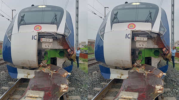 Vande Bharat Express: గేదెలను ఢీకొన్న వందేభారత్ ఎక్స్ప్రెస్.. ధ్వంసమైన ఇంజన్ ముందు భాగం..