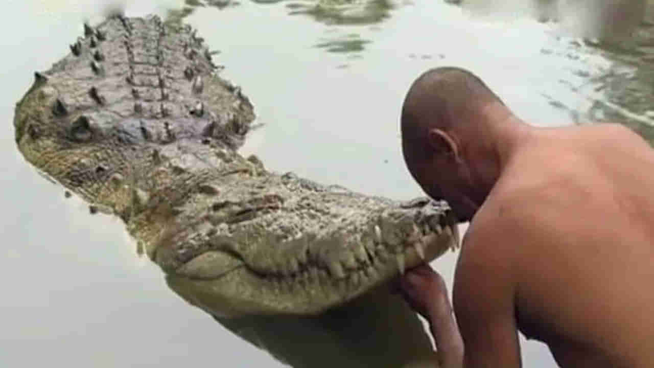 Vegetarian Crocodile: అనంతపద్మనాభ స్వామి ఆలయంలోని శాకాహార మొసలి కన్నుమూత..