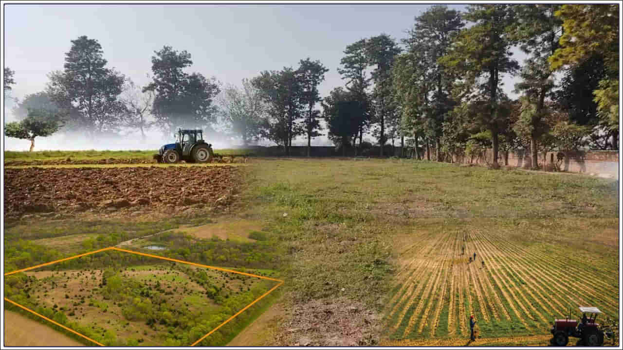 Village Lands: గ్రామాల్లో ఉండే భూములకు ఈ పేర్లతో ఎందుకు పిలుస్తారో తెలుసా..? ఆసక్తికరంగా ఉండే అర్థాలు