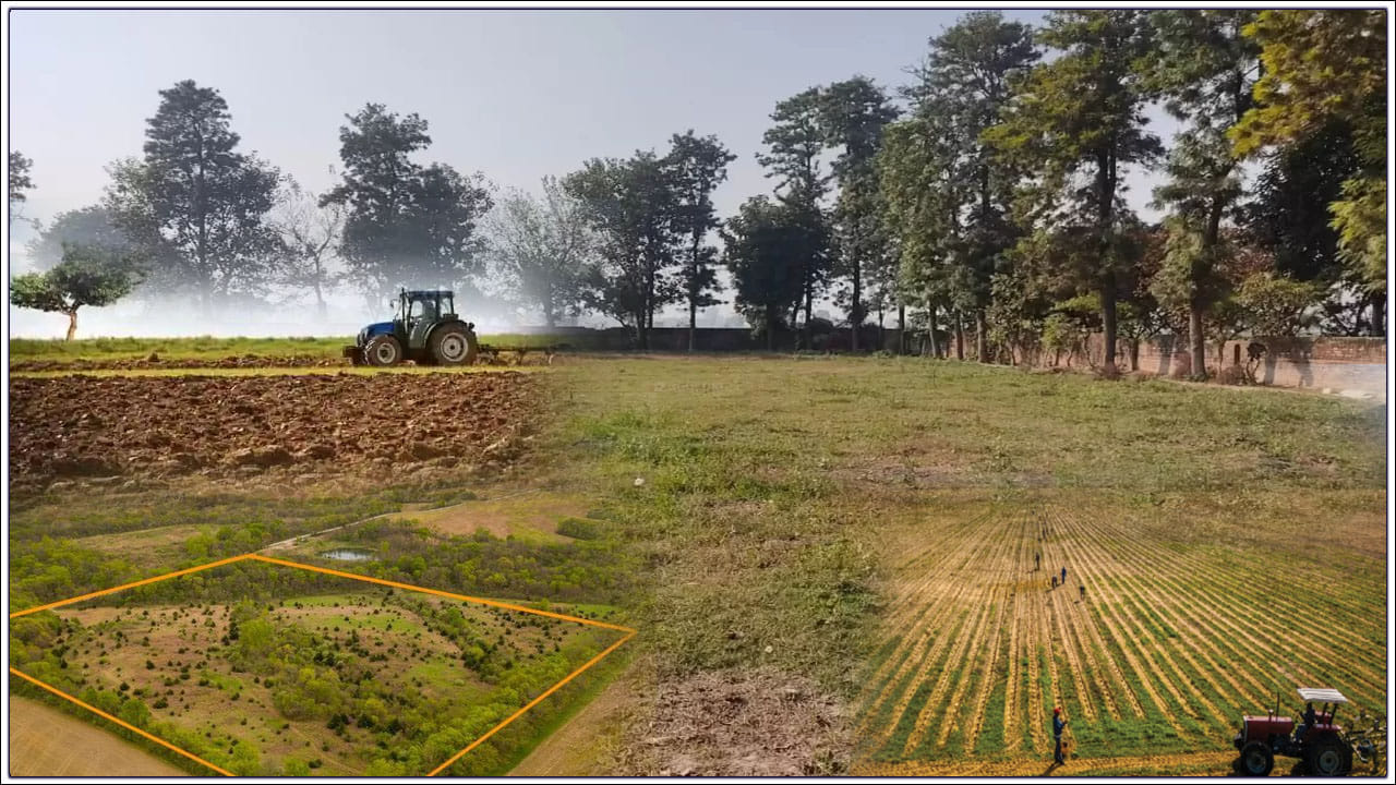 Village Lands: గ్రామాల్లో ఉండే భూములకు ఈ పేర్లతో ఎందుకు పిలుస్తారో తెలుసా..? ఆసక్తికరంగా ఉండే అర్థాలు