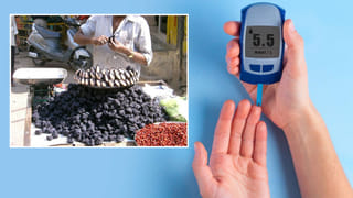 Best Protein Foods: సన్నగా పీలగా ఉన్నారా.. అయితే ఈ ఆహారంతో ఆ సమస్యకు చెక్ పెట్టండి.. శాఖాహారులకు అద్భుతమైన ప్రోటీన్‌ ఫుడ్ ఇదే..