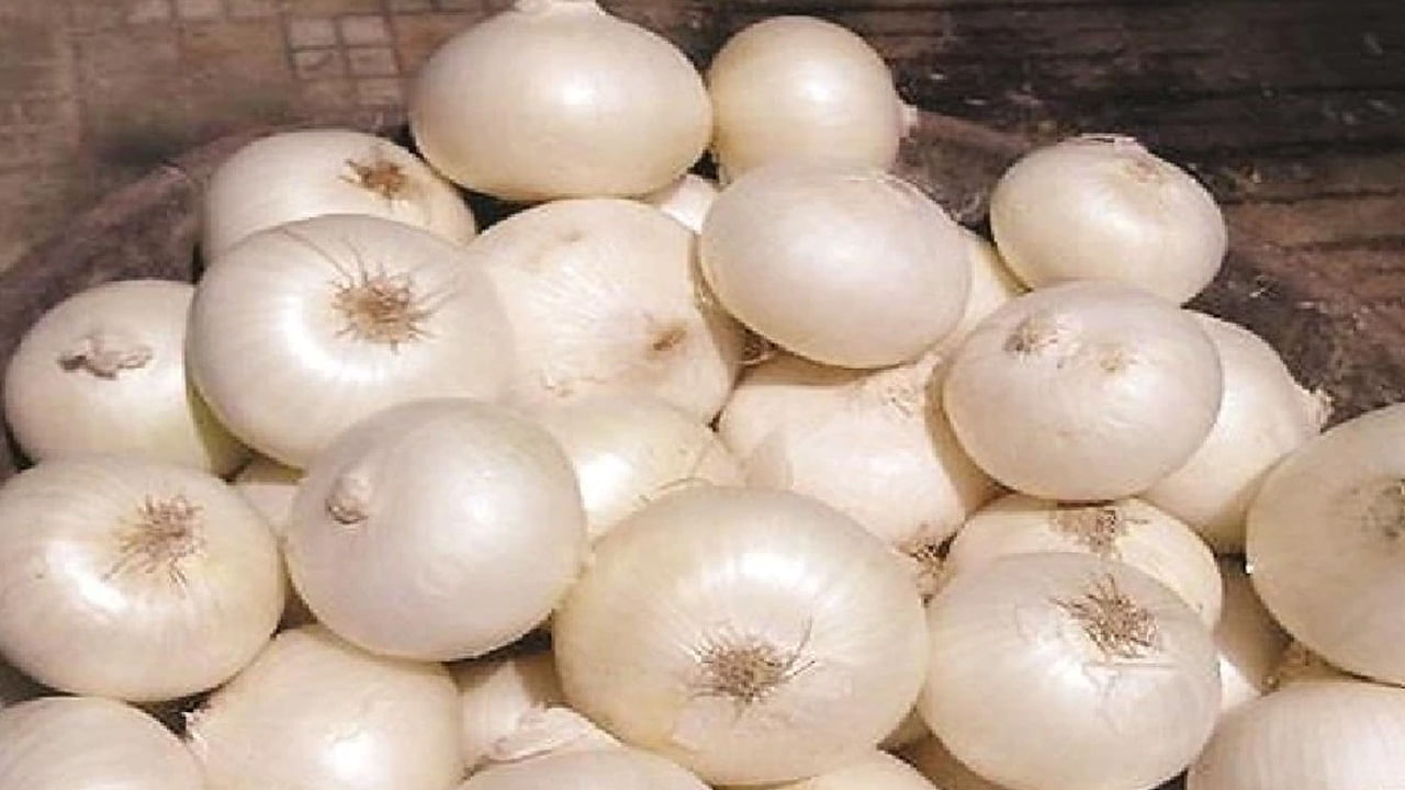 White Onion: తెల్ల ఉల్లిపాయతో కలిగే ఆరోగ్య ప్రయోజనాలు తెలిస్తే..  వాడటం ఇప్పుడే మొదలుపెడతారు..!